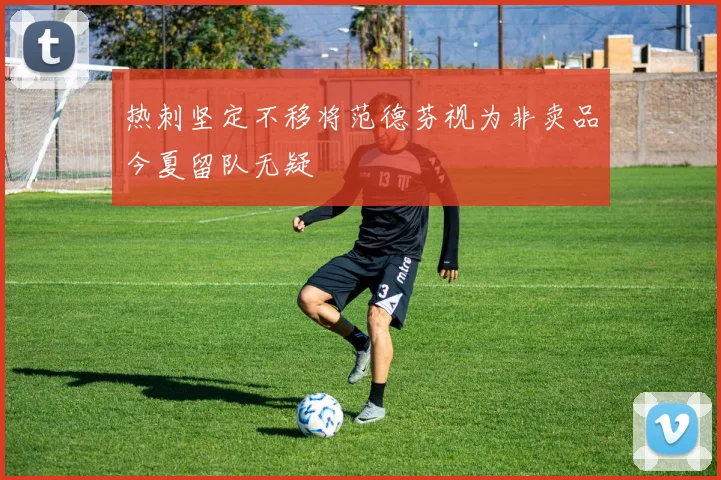 热刺坚定不移将范德芬视为非卖品今夏留队无疑